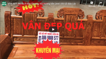 bo-au-a-hop-chuong-voi-huong-van-dogobaoloc.vn